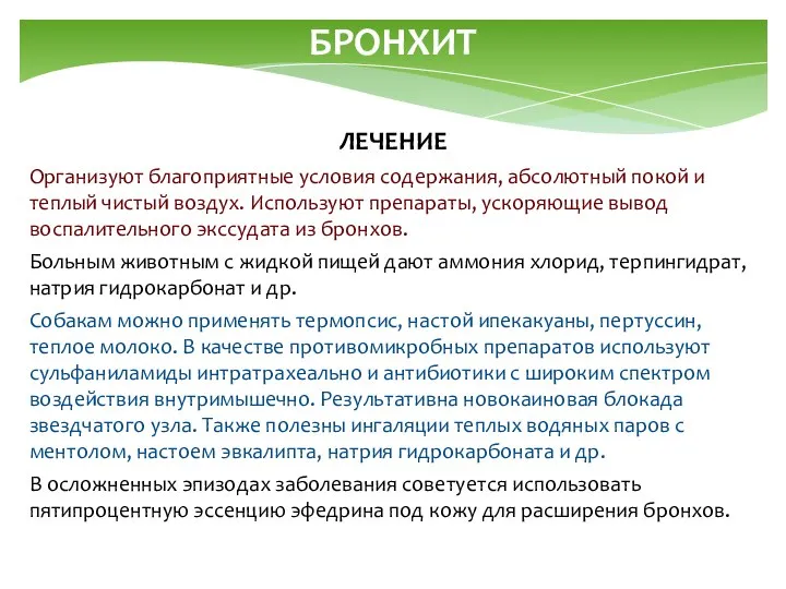 БРОНХИТ ЛЕЧЕНИЕ Организуют благоприятные условия содержания, абсолютный покой и теплый чистый