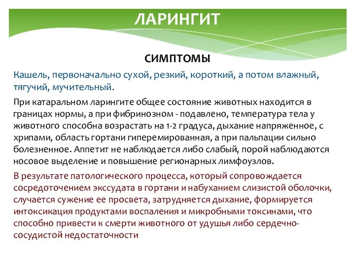 ЛАРИНГИТ СИМПТОМЫ Кашель, первоначально сухой, резкий, короткий, а потом влажный, тягучий,