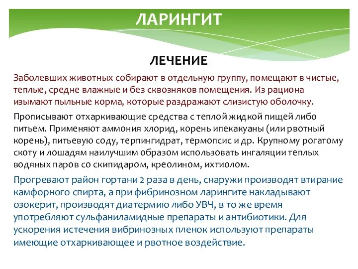 ЛАРИНГИТ ЛЕЧЕНИЕ Заболевших животных собирают в отдельную группу, помещают в чистые,