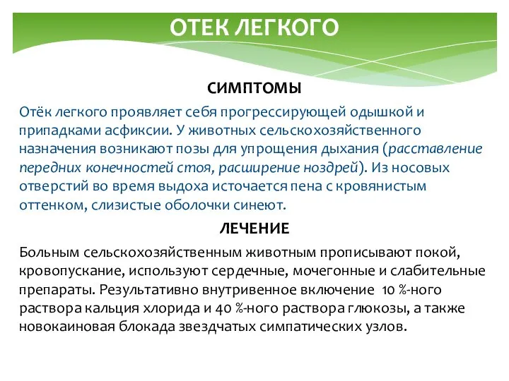 ОТЕК ЛЕГКОГО СИМПТОМЫ Отёк легкого проявляет себя прогрессирующей одышкой и припадками