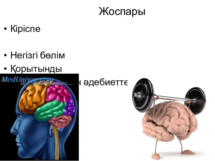 Жоспары Кіріспе Негізгі бөлім Қорытынды Пайдаланылған әдебиеттер