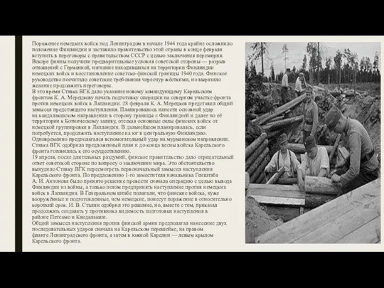 Поражение немецких войск под Ленинградом в начале 1944 года крайне осложнило