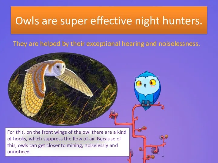Owls are super effective night hunters. They are helped by their