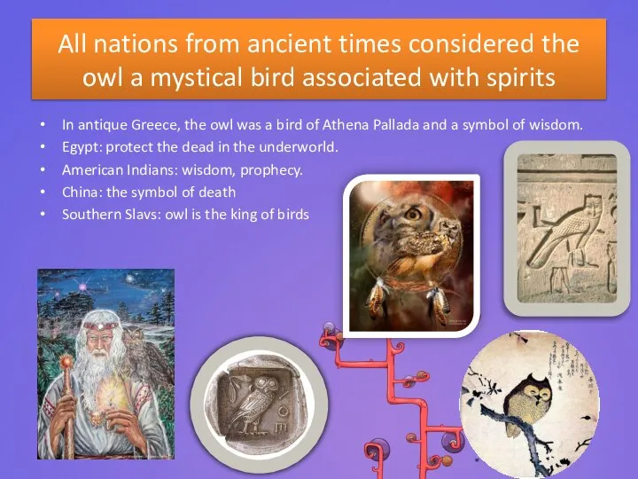 All nations from ancient times considered the owl a mystical bird