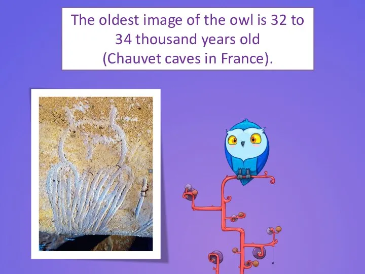 The oldest image of the owl is 32 to 34 thousand