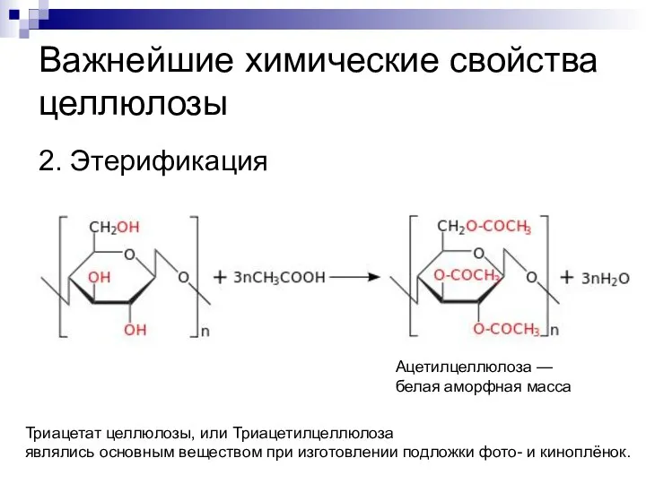 Важнейшие химические свойства целлюлозы 2. Этерификация Ацетилцеллюлоза — белая аморфная масса