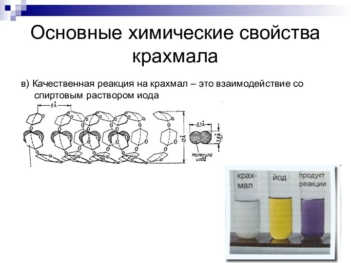 Основные химические свойства крахмала в) Качественная реакция на крахмал – это взаимодействие со спиртовым раствором иода