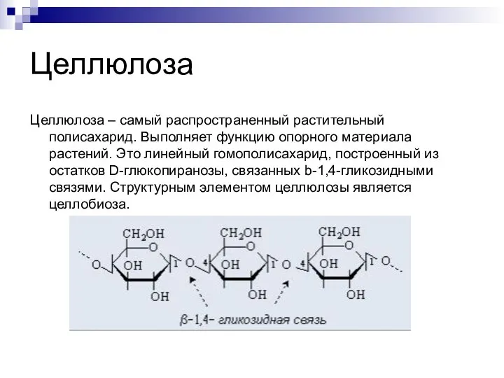 Целлюлоза Целлюлоза – самый распространенный растительный полисахарид. Выполняет функцию опорного материала