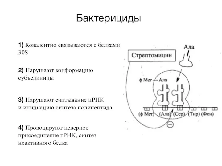 Бактерициды