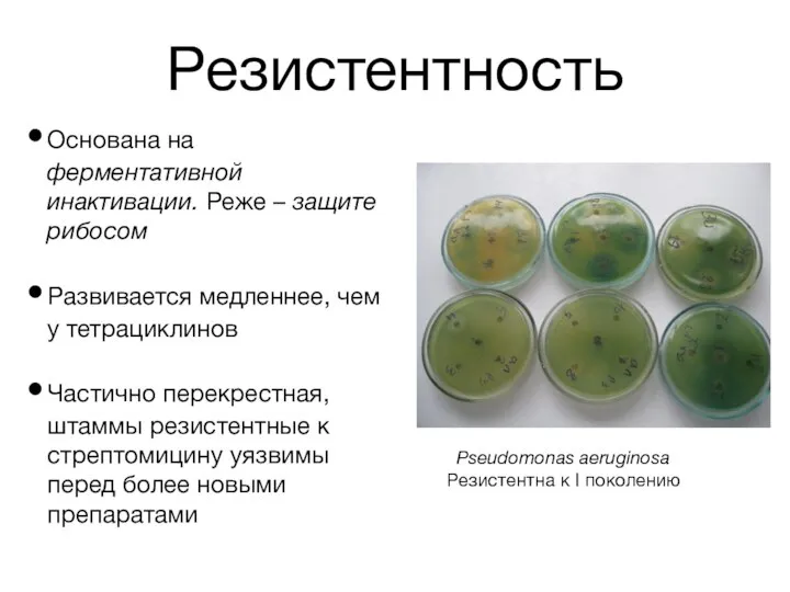 Резистентность Основана на ферментативной инактивации. Реже – защите рибосом Развивается медленнее,