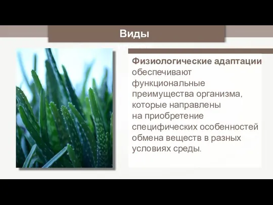 Виды клеток Физиологические адаптации обеспечивают функциональные преимущества организма, которые направлены на