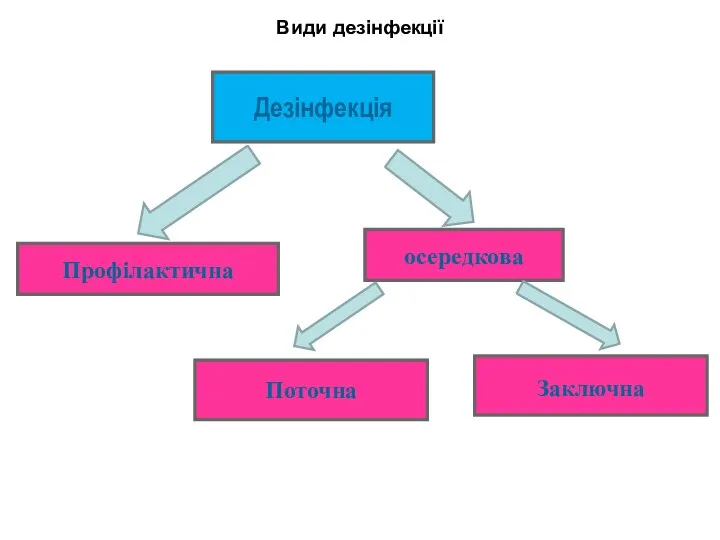 Дезінфекція осередкова Профілактична Поточна Заключна Види дезінфекції