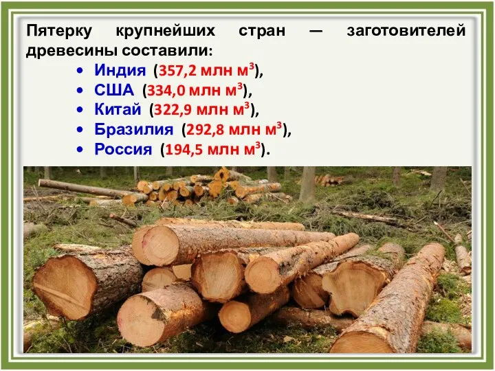 Пятерку крупнейших стран — заготовителей древесины составили: Индия (357,2 млн м3),