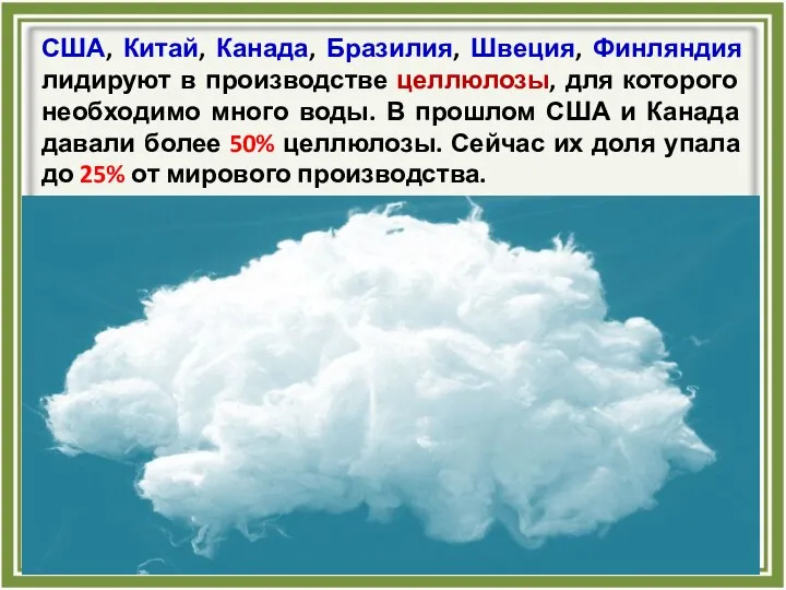 США, Китай, Канада, Бразилия, Швеция, Финляндия лидируют в производстве целлюлозы, для