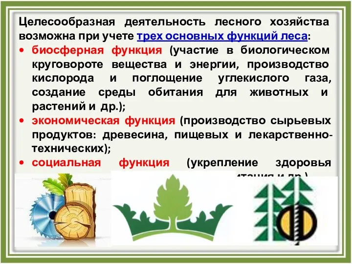 Целесообразная деятельность лесного хозяйства возможна при учете трех основных функций леса: