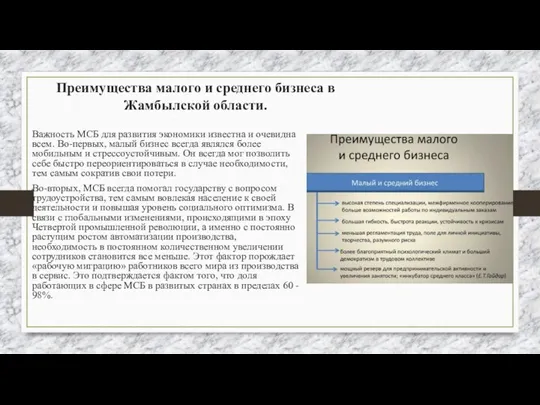 Преимущества малого и среднего бизнеса в Жамбылской области. Важность МСБ для