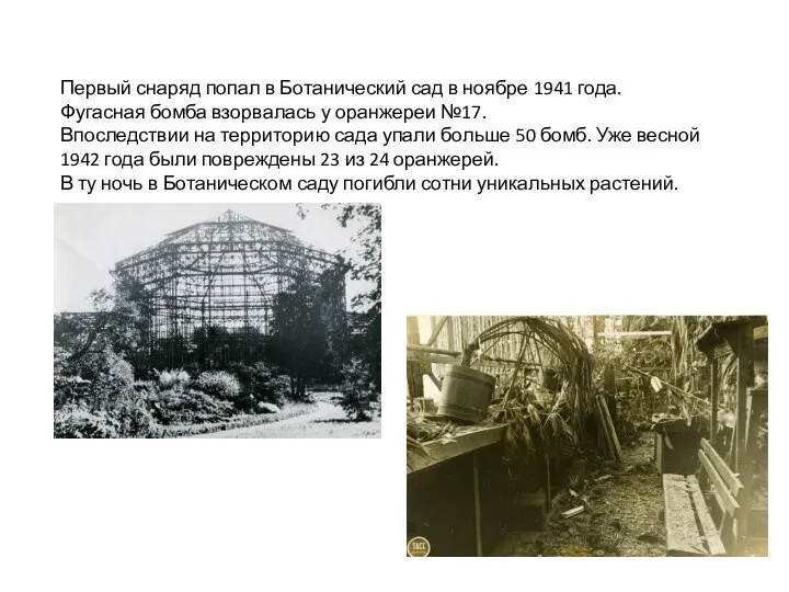 Первый снаряд попал в Ботанический сад в ноябре 1941 года. Фугасная