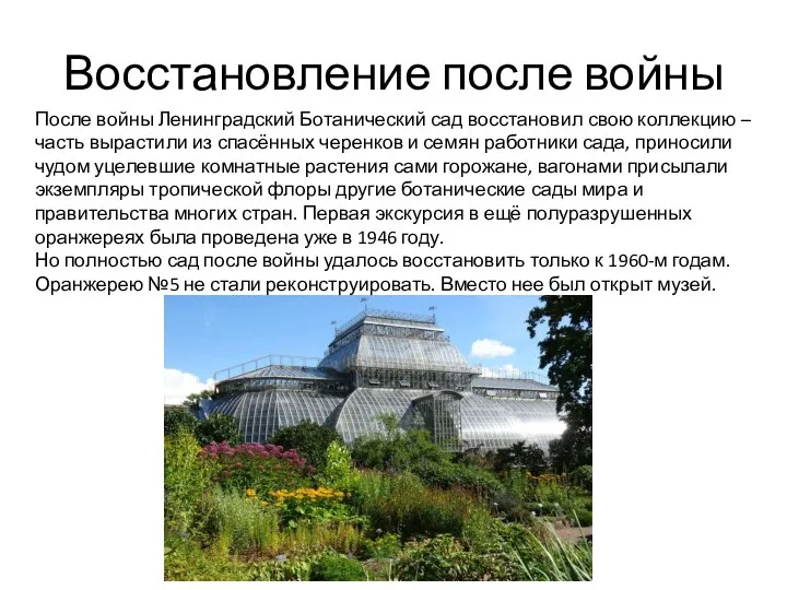 Восстановление после войны После войны Ленинградский Ботанический сад восстановил свою коллекцию
