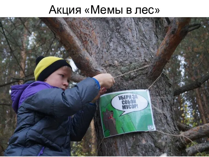 Акция «Мемы в лес»