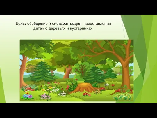 Цель: обобщение и систематизация представлений детей о деревьях и кустарниках.