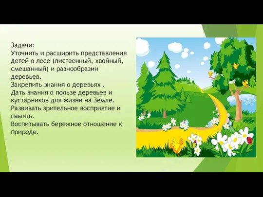 Задачи: Уточнить и расширить представления детей о лесе (лиственный, хвойный, смешанный)