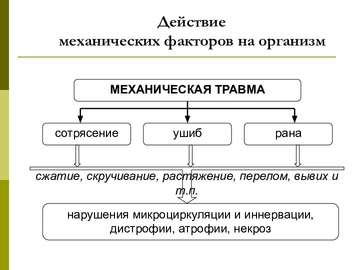 Действие механических факторов на организм