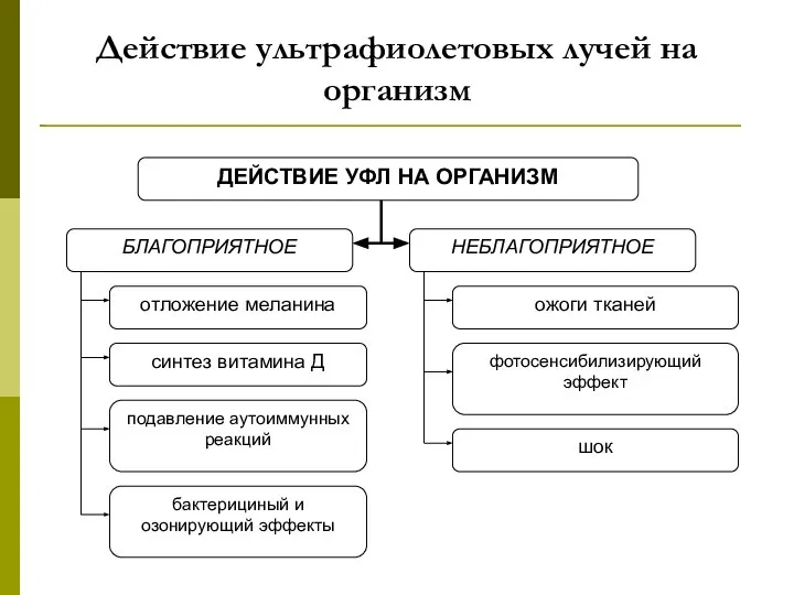 Действие ультрафиолетовых лучей на организм