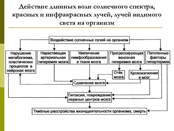 Действие длинных волн солнечного спектра, красных и инфракрасных лучей, лучей видимого света на организм