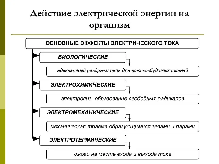 Действие электрической энергии на организм