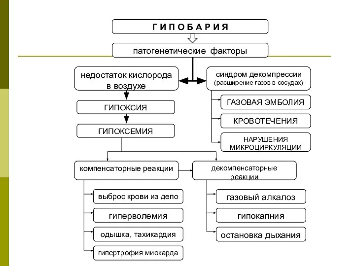 ГИПОКСИЯ ГИПОКСЕМИЯ