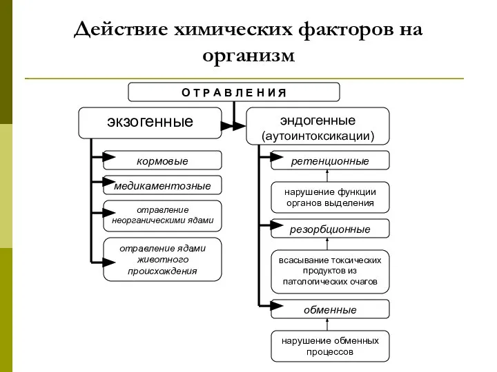 Действие химических факторов на организм