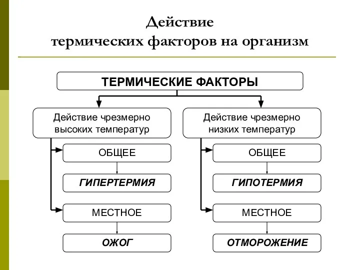 Действие термических факторов на организм