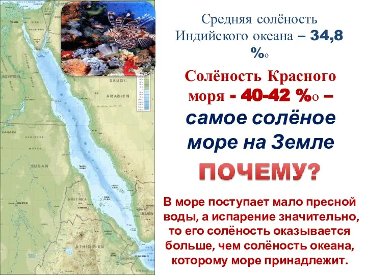 В море поступает мало пресной воды, а испарение значительно, то его