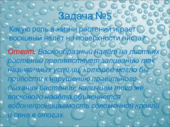 Задача №5 Какую роль в жизни растений играет восковый налёт на