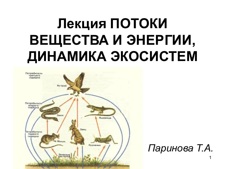 Потоки веществ и энергии в экосистеме