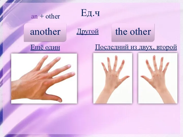 One and other. Other others another the other the others таблица. Other another others разница. Разница между other и the other. Разница между other the other another others the others.