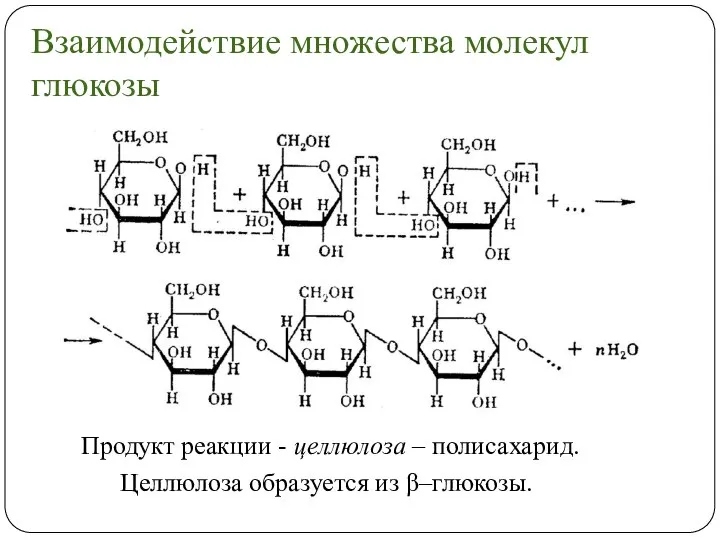 Для целлюлозы характерно. Получение целлюлозы уравнение реакции. Реакция образования целлюлозы. Схема модификации целлюлозы.