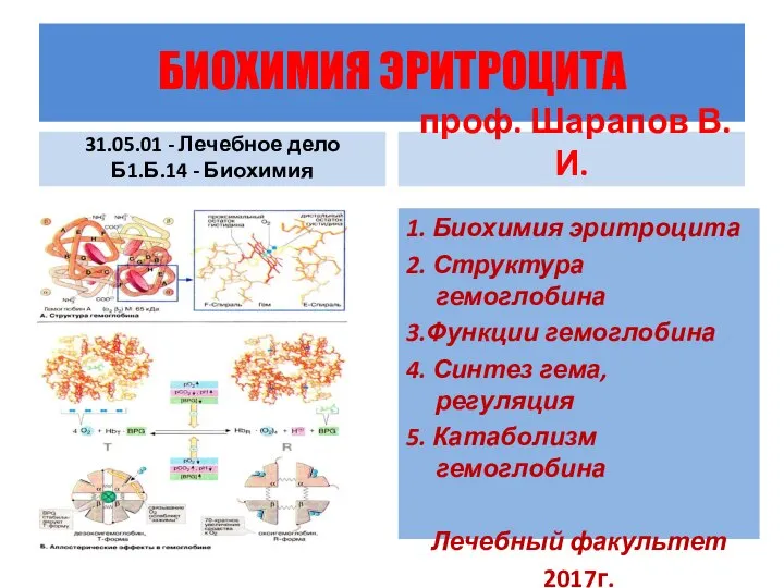 Биохимия эритроцитов. Биохимия темы. Особенности строения и метаболизма эритроцитов биохимия. Распад эритроцитов биохимия.